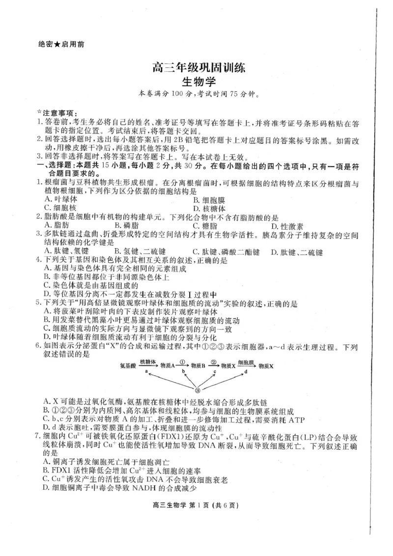 《辽宁省朝阳市2026-2027学年高三上学期巩固练习生物试卷_cc518_test_xiaoli_辽宁省点石联考2026-2027学年高三上学期10月巩固训练（全科）_辽宁省点石联考2026-2027学年高三上学期10月巩固训练生物》第1页预览