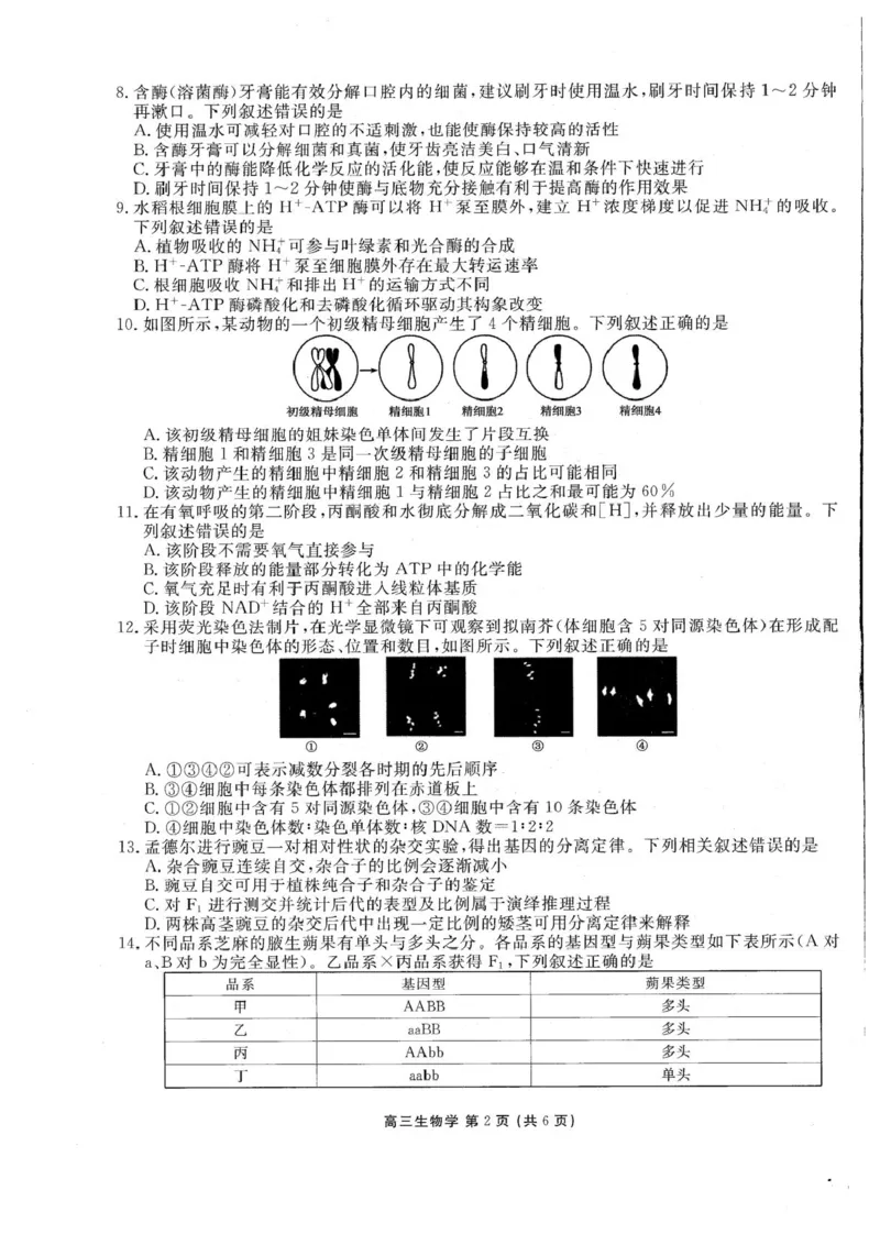 《辽宁省朝阳市2026-2027学年高三上学期巩固练习生物试卷_cc518_test_xiaoli_辽宁省点石联考2026-2027学年高三上学期10月巩固训练（全科）_辽宁省点石联考2026-2027学年高三上学期10月巩固训练生物》第2页预览