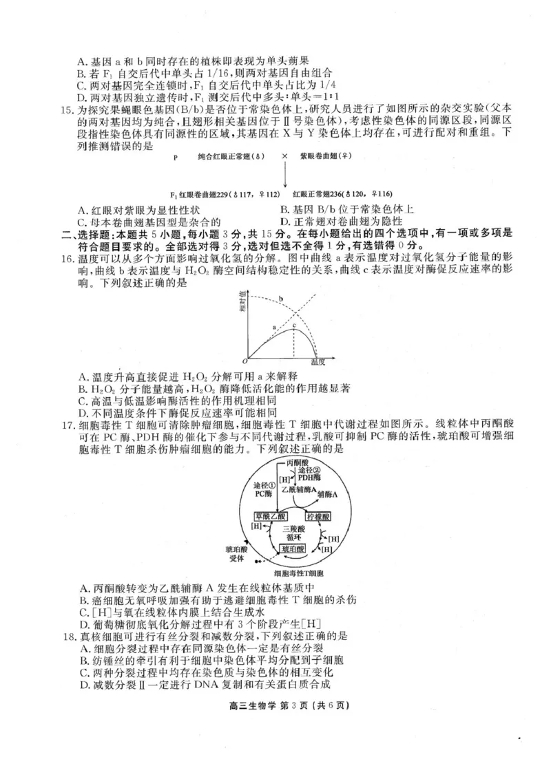 《辽宁省朝阳市2026-2027学年高三上学期巩固练习生物试卷_cc518_test_xiaoli_辽宁省点石联考2026-2027学年高三上学期10月巩固训练（全科）_辽宁省点石联考2026-2027学年高三上学期10月巩固训练生物》第3页预览