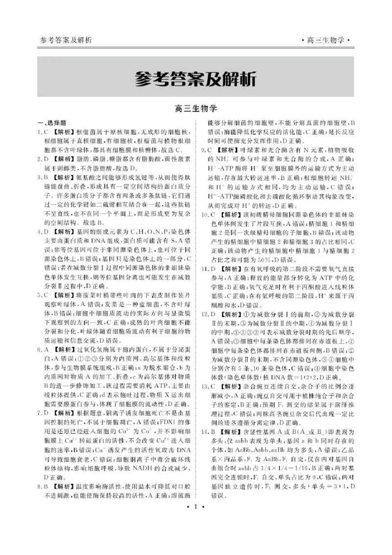 《辽宁省朝阳市2026-2027学年高三上学期巩固练习生物答案_cc518_test_xiaoli_辽宁省点石联考2026-2027学年高三上学期10月巩固训练（全科）_辽宁省点石联考2026-2027学年高三上学期10月巩固训练生物》第3页预览