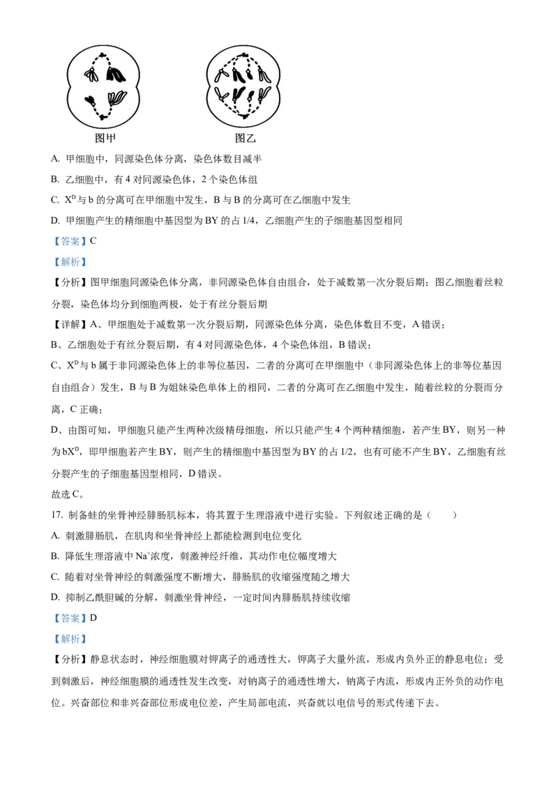 《2025年1月浙江省普通高校招生选考科目考试生物高考真题（解析版）(1)_高考一二三轮复习_生物_2027年高考生物专项_2008年-2026年生物高考真题-G427_2025年高考》第10页预览
