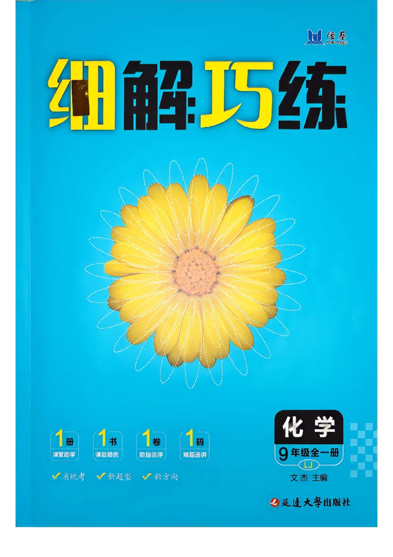 《26秋鲁科版五四制九全化学细解巧练培优作业_2026秋初中教辅合集_2027细解巧练_2027《细解巧练》9全化学（鲁教）》第1页预览