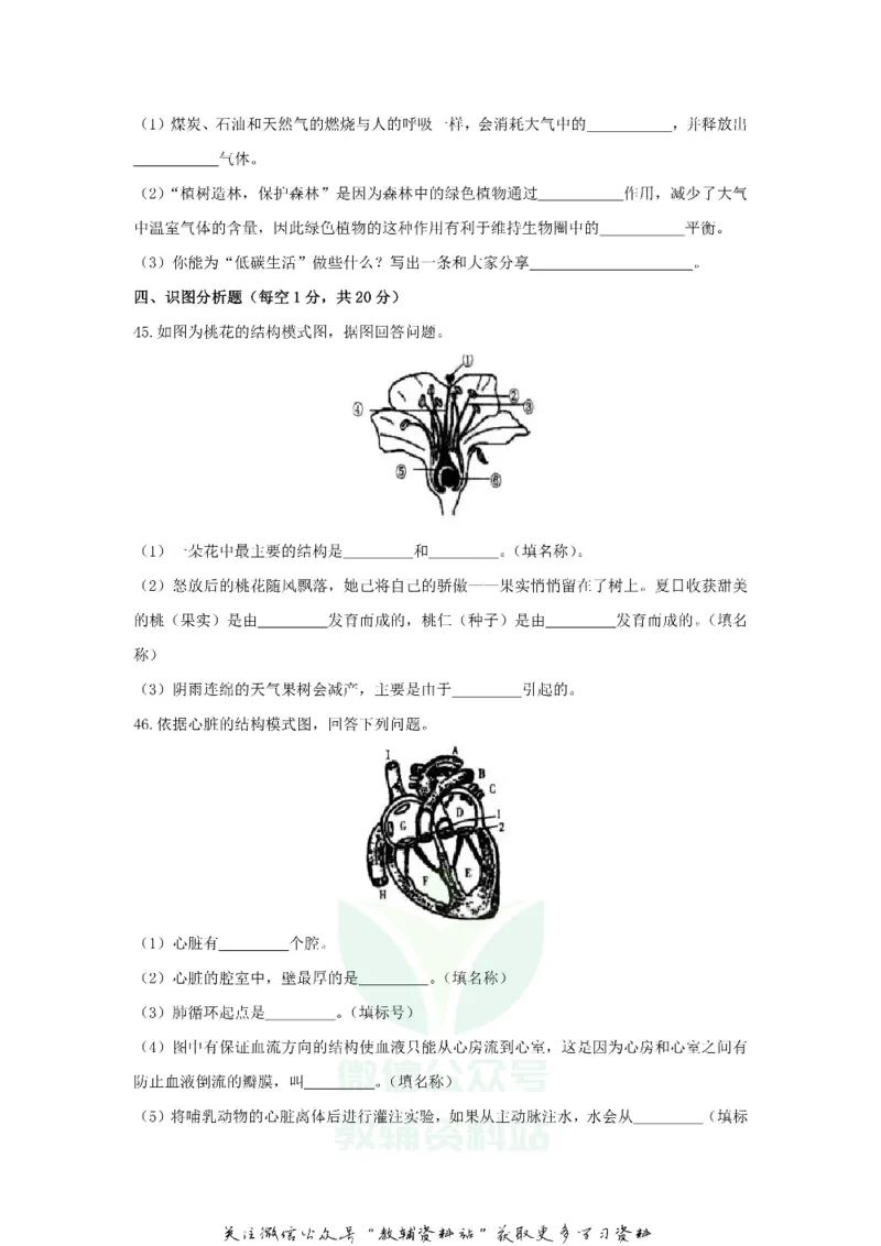 《2018黑龙江省鸡西市中考生物试题与答案_初高中资料库_初中资料库（转存避免链接过期失效）_初中生物》第5页预览