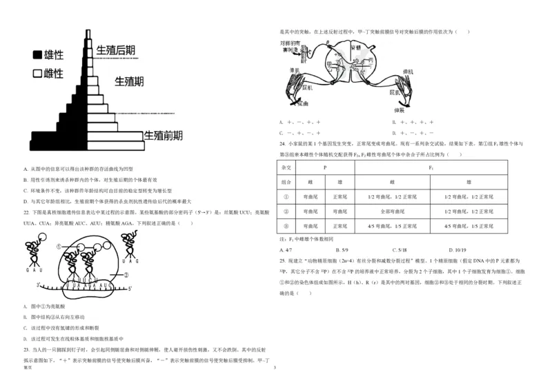 《2021年浙江省高考生物1月（原卷版）(1)_高考一二三轮复习_生物_2027年高考生物专项_2008年-2026年生物高考真题-G427_2008-2020年高考_地方卷_浙江高考生物08-21_A3word版_PDF版（赠送）》第3页预览