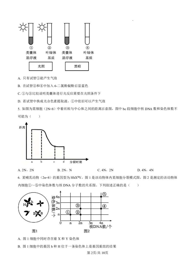 《2025-2026名校联盟高三上10月月考生物试卷_10.2_2025-2026名校联盟高三上10月月考全科试卷及答案》第2页预览