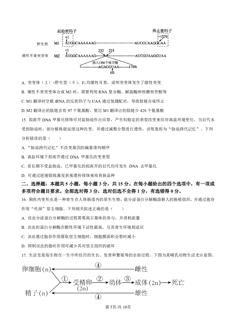 《2025-2026名校联盟高三上10月月考生物试卷_10.2_2025-2026名校联盟高三上10月月考全科试卷及答案》第5页预览