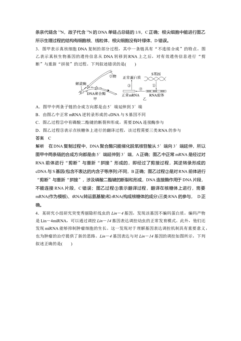 《5.遗传的分子基础、变异与进化(1)_2026版高中《二三轮复习+冲刺复习》_教师用书Word版文档_考前特训_选择题强化练》第2页预览