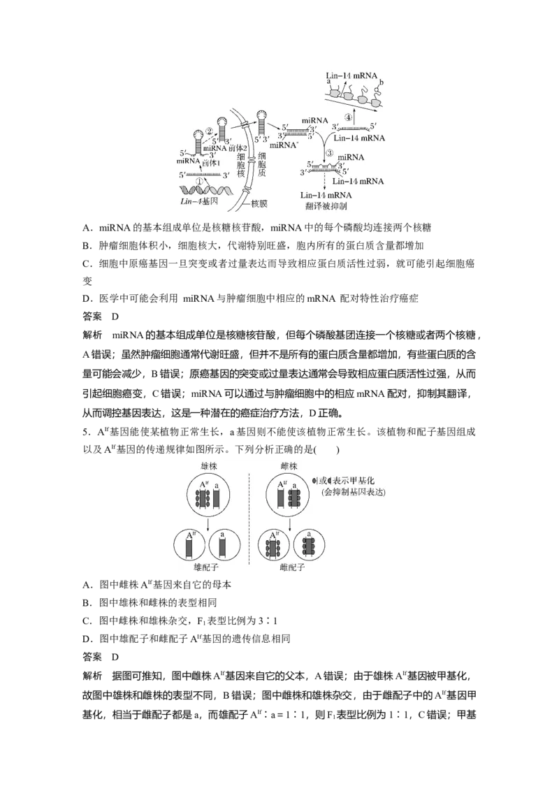 《5.遗传的分子基础、变异与进化(1)_2026版高中《二三轮复习+冲刺复习》_教师用书Word版文档_考前特训_选择题强化练》第3页预览