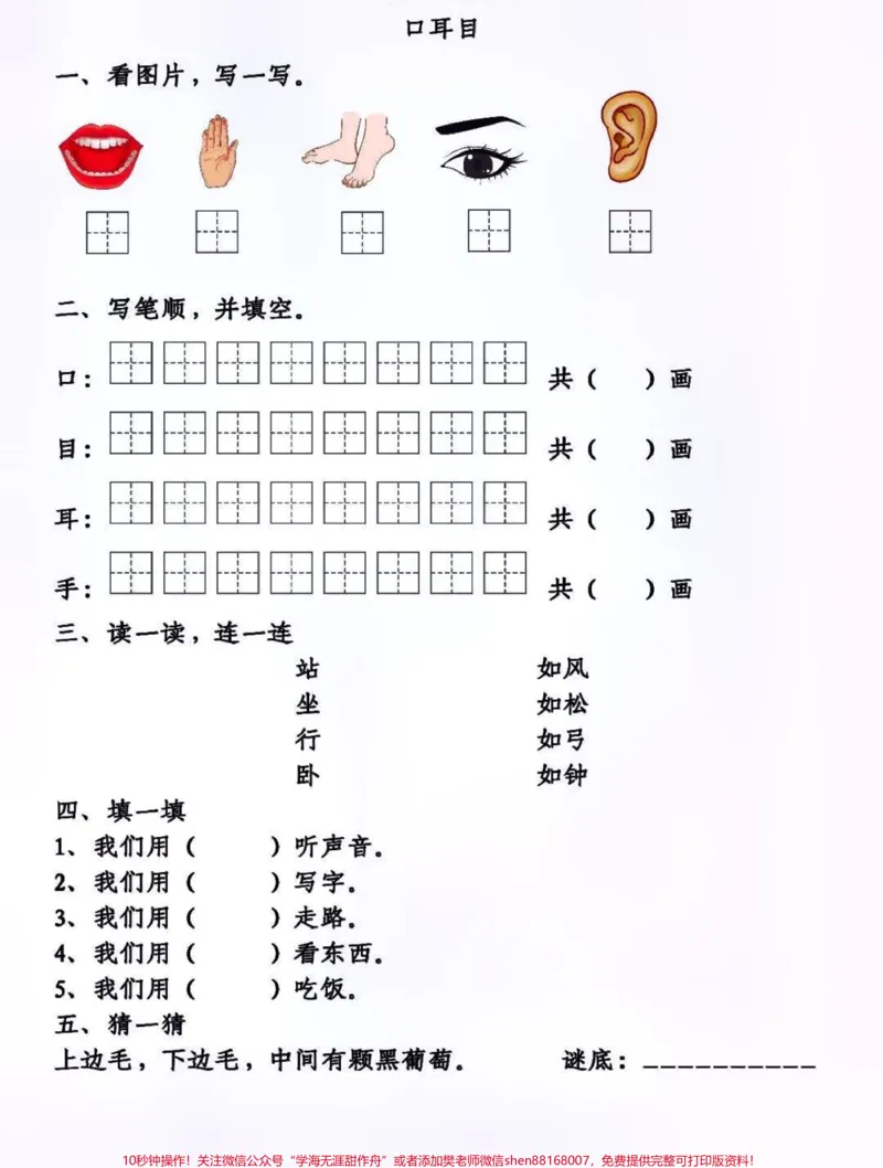 《一二年级上册语文第一单元基础知识点同步练习及答案#知识分享#教育#家长收藏孩子受益#每天学习一点点》第3页预览