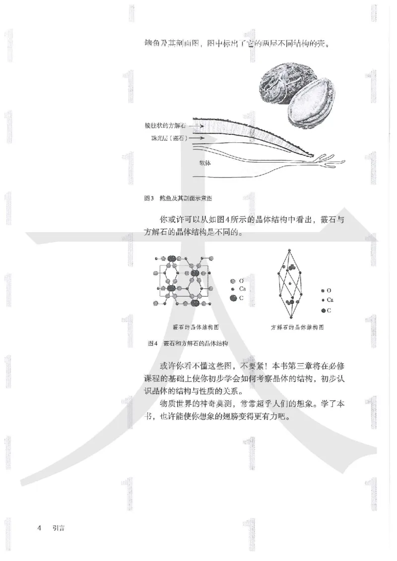 《2019人教版化学选择性必修2_初高中资料库_高中资料库（转存避免链接过期失效）_高中化学》第7页预览