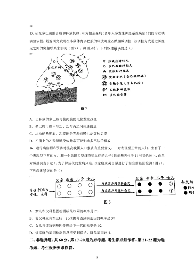 《2022年高考真题——生物（广东卷）Word版（原卷）(1)_高考一二三轮复习_生物_2027年高考生物专项_2008年-2026年生物高考真题-G427_2022年高考_2022年广东卷-生物》第5页预览