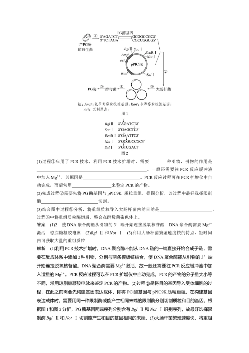 《5.生物技术与工程(1)_2026版高中《二三轮复习+冲刺复习》_高考生物生物二轮2026届高考生物步步高大二轮专题复习教师用书(word版)+教师用书配套PPT+题库(word版)(完整版)_考前特训》第3页预览