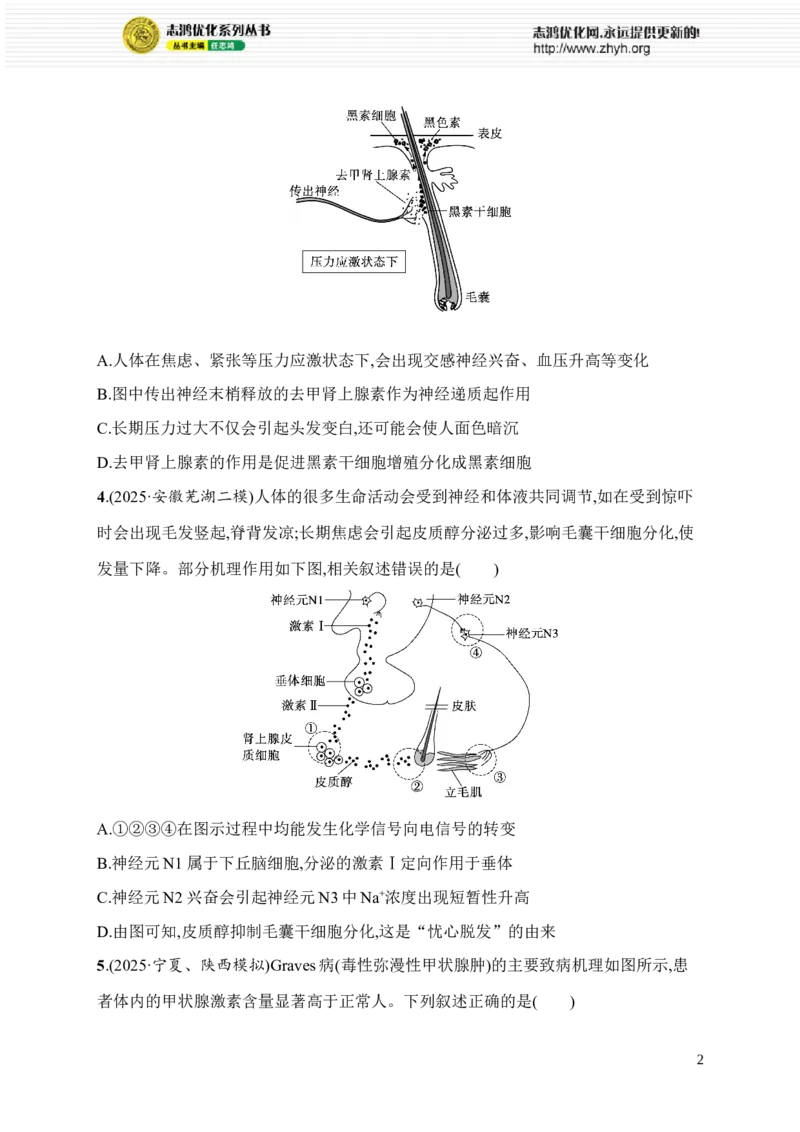 《9.内环境与稳态及神经调节、体液调节_2026版高中《二三轮复习+冲刺复习》_高考总复习优化设计二轮用书生物课后习题Word_课后习题_考前增分专练_知识对点小题练》第2页预览