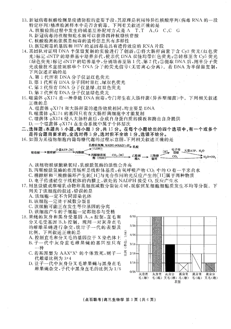 《2025-2026点石联考高三上10月月考生物试题_10.2_2025-2026点石联考高三上10月月考全科试卷及答案》第3页预览