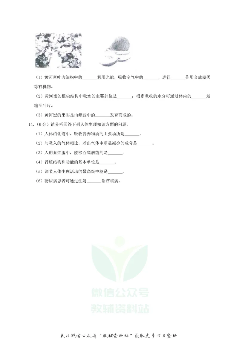 《2019甘肃省武威市中考生物试卷及答案_初高中资料库_初中资料库（转存避免链接过期失效）_初中生物》第2页预览