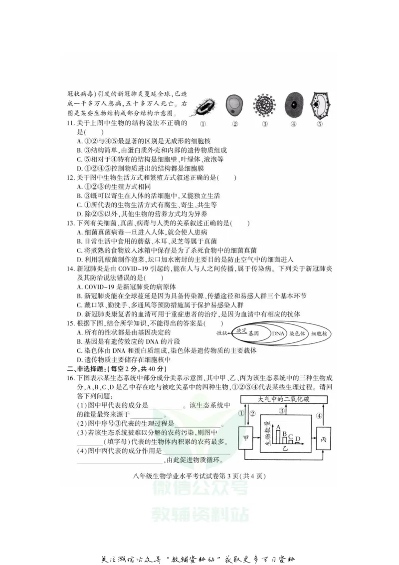 《2020四川南充中考生物真题及答案_初高中资料库_初中资料库（转存避免链接过期失效）_初中生物》第3页预览