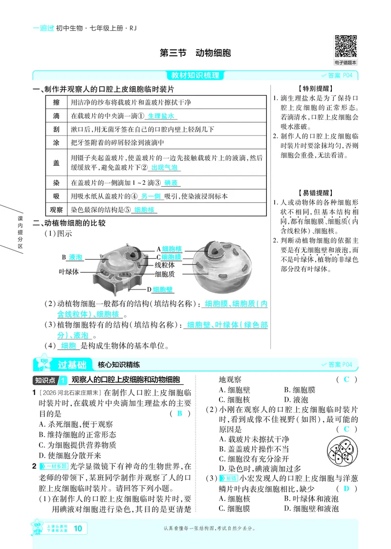 《26秋初中一遍过七上生物人教练习册教师用书_2026秋初中教辅合集_2027一遍过_2026《一遍过》7上_2027《天星教育•一遍过》7上生物（人教版）》第10页预览