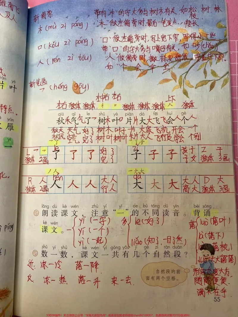 《一年级上册语文《第四单元》详细笔记》第2页预览