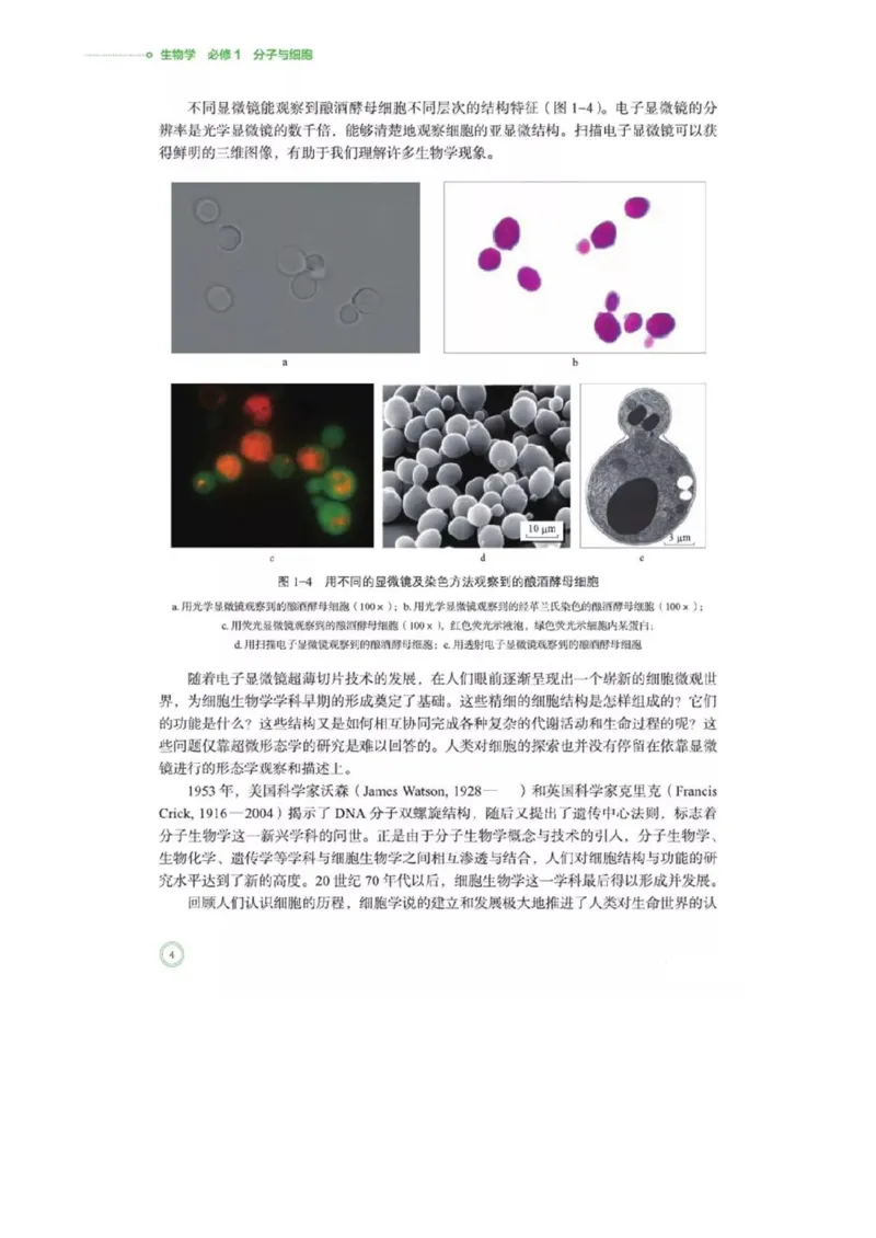 《2019北师大版生物必修一_初高中资料库_高中资料库（转存避免链接过期失效）_高中生物》第9页预览
