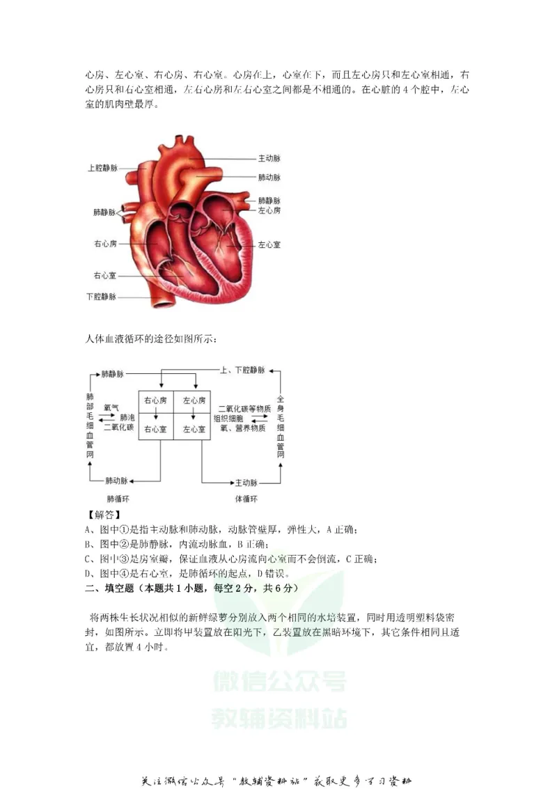《2019浙江省宁波市中考生物真题及答案_初高中资料库_初中资料库（转存避免链接过期失效）_初中地理》第3页预览