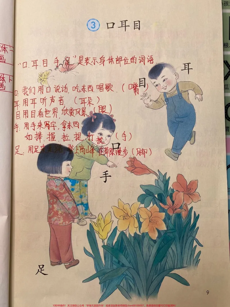 《一年级上册语文《第一单元》详细笔记》第4页预览