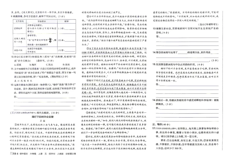 《26秋人教版五四制六上语文五三诊断提分卷_2026秋初中教辅合集_2026秋53系列_2027《初中53同步》6上语文（鲁教版）》第7页预览