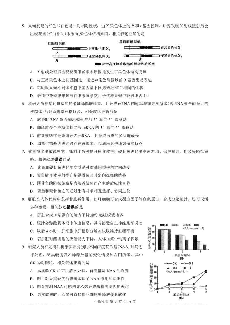 《2027届海门中学高三第一次调研考试-生物学试题江苏省2027届海门中学高三第一次调研考试-生物学试题_cc518_test_xiaoli_江苏省南通市海门区2026-2027学年高三上学期第一次调研考试》第2页预览
