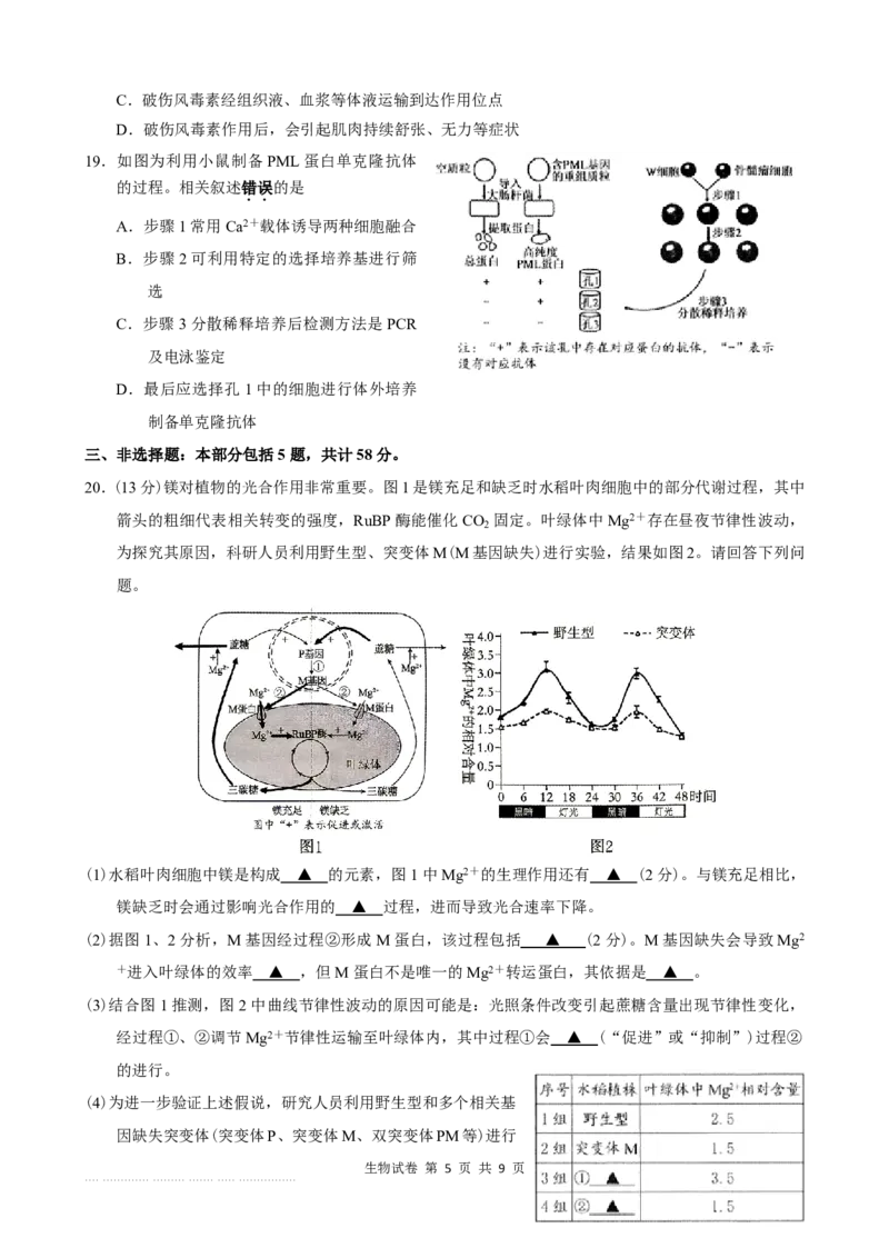 《2027届海门中学高三第一次调研考试-生物学试题江苏省2027届海门中学高三第一次调研考试-生物学试题_cc518_test_xiaoli_江苏省南通市海门区2026-2027学年高三上学期第一次调研考试》第5页预览