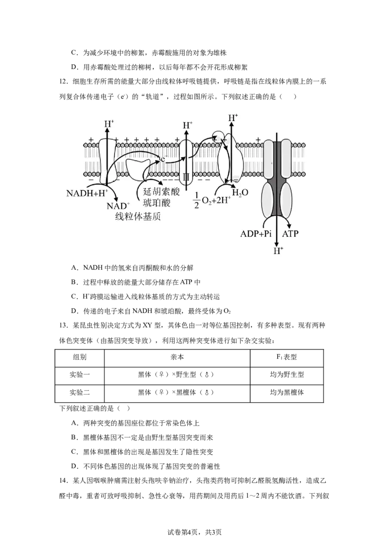《7_2025届浙南名校联盟高三上学期第一次联考生物试题_2026版教学资源包_202653高考总复习A版_新高考_生物_教师A版2026年.新高考版.生物.53_优质模拟题精选（Word）_1_资源拓展》第4页预览