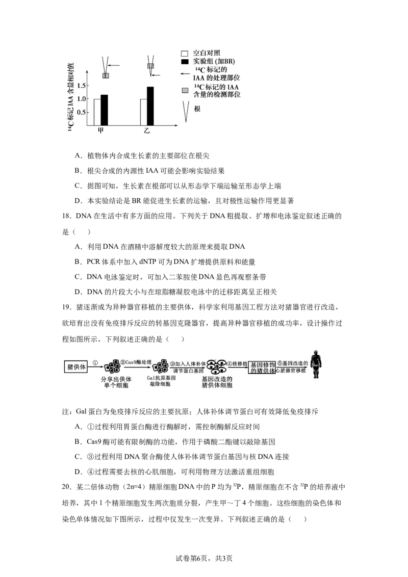 《7_2025届浙南名校联盟高三上学期第一次联考生物试题_2026版教学资源包_202653高考总复习A版_新高考_生物_教师A版2026年.新高考版.生物.53_优质模拟题精选（Word）_1_资源拓展》第6页预览