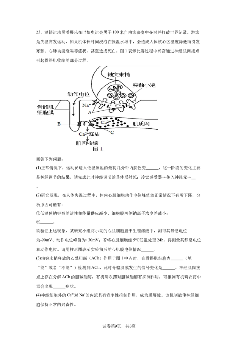 《7_2025届浙南名校联盟高三上学期第一次联考生物试题_2026版教学资源包_202653高考总复习A版_新高考_生物_教师A版2026年.新高考版.生物.53_优质模拟题精选（Word）_1_资源拓展》第9页预览