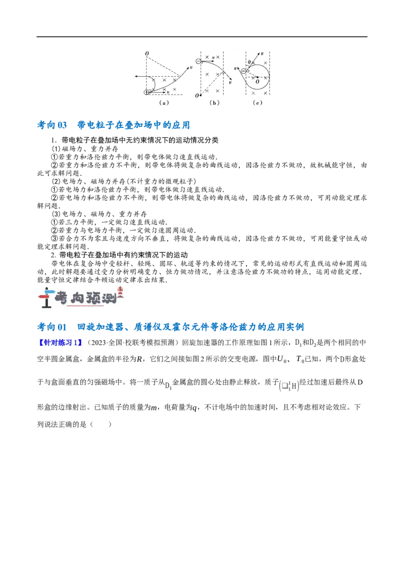 《专题09带电粒子在电磁场中的运动（讲义）（原卷版）(1)_2026版高中《二三轮复习+冲刺复习》》第6页预览