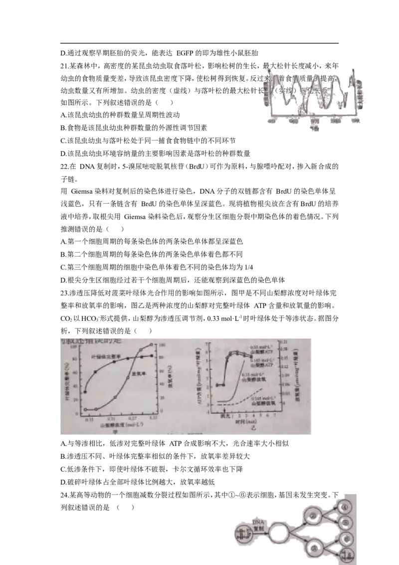 《2021年浙江省高考生物6月（含解析版）(1)_高考一二三轮复习_生物_2027年高考生物专项_2008年-2026年生物高考真题-G427_2008-2020年高考_地方卷_浙江高考生物08-21_A4word版》第4页预览