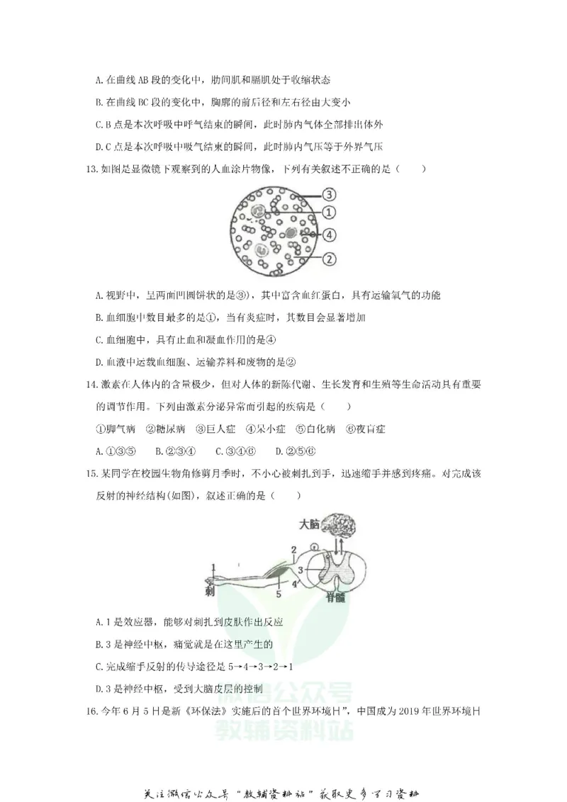 《2019山东省临沂市中考生物真题及答案_初高中资料库_初中资料库（转存避免链接过期失效）_初中生物》第4页预览