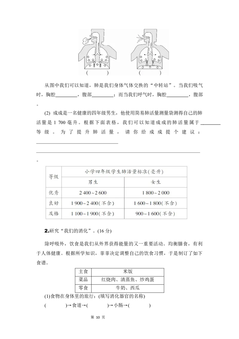 《四年级上册科学（教科版）单元试卷_4年级上册同步教辅_4上-科学+道法》第10页预览