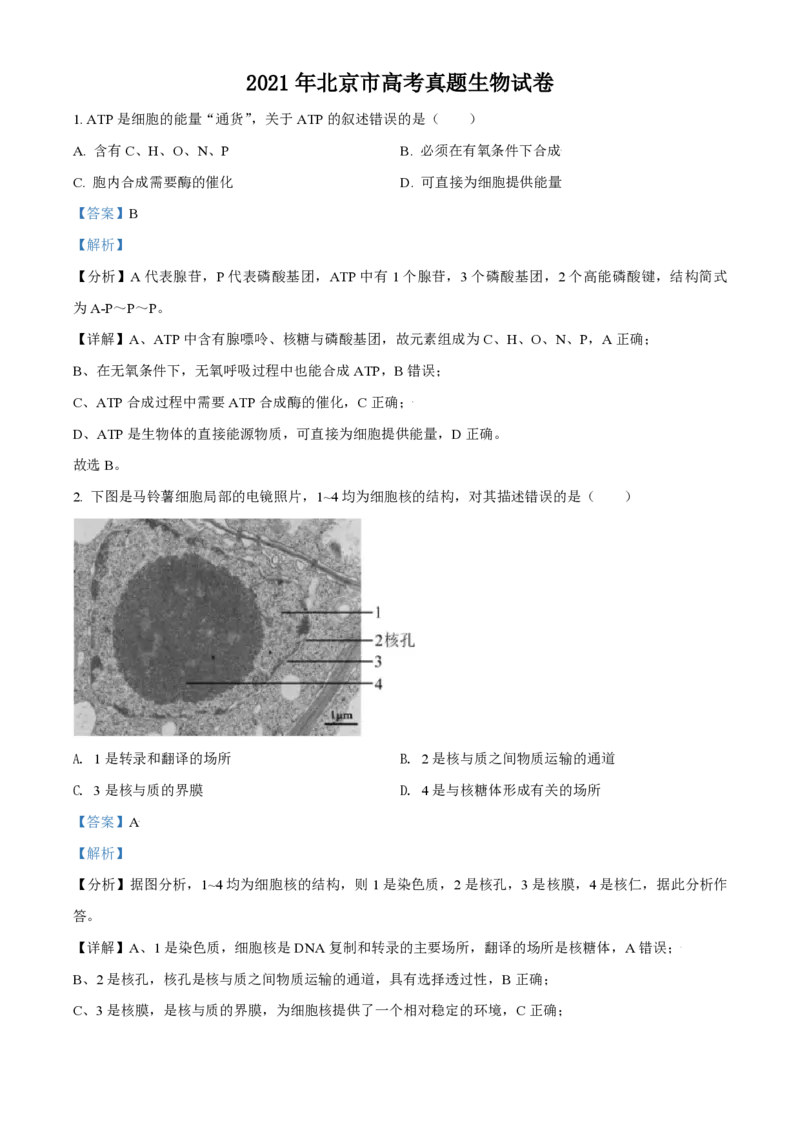 《2021年北京市高考生物试卷（含解析版）(1)_高考一二三轮复习_生物_2027年高考生物专项_2008年-2026年生物高考真题-G427_2008-2020年高考_地方卷_北京高考生物08-21_A4word版_PDF版（赠送）》第1页预览