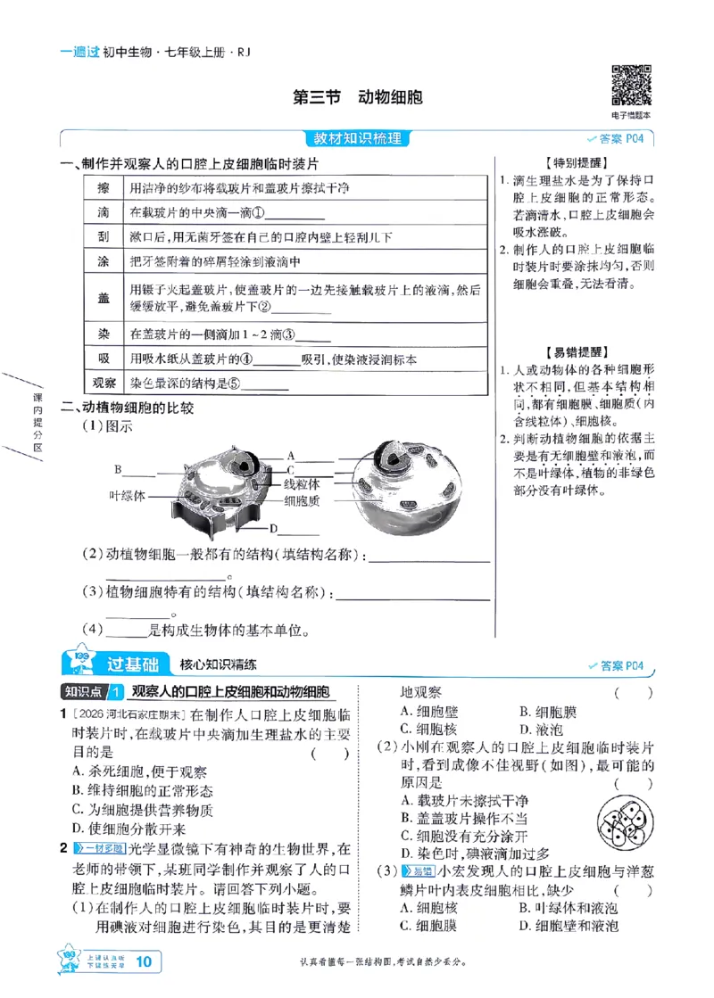 《26秋初中一遍过七上生物人教练习册-_2026秋初中教辅合集_2027一遍过_2026《一遍过》7上_2027《天星教育•一遍过》7上生物（人教版）》第10页预览