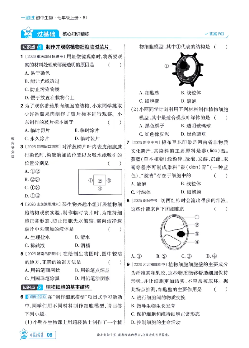 《26秋初中一遍过七上生物人教练习册-_2026秋初中教辅合集_2027一遍过_2026《一遍过》7上_2027《天星教育•一遍过》7上生物（人教版）》第8页预览