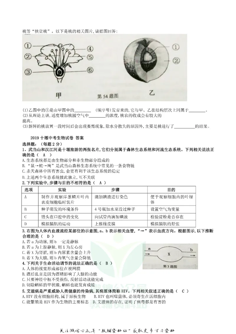 《2019湖北省十堰市中考生物真题及答案_初高中资料库_初中资料库（转存避免链接过期失效）_初中生物》第2页预览