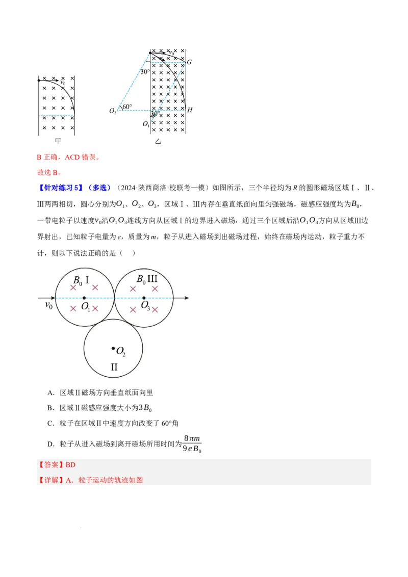 《专题09带电粒子在电磁场中的运动（分层练）（解析版）(1)_2026版高中《二三轮复习+冲刺复习》》第6页预览