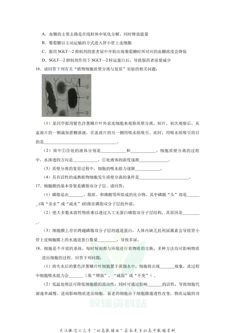 《2021届（新高考）高三全科专题练习系列Ⅰ：3细胞的物质输入和输出_高三全科专题练习系列_生物》第6页预览
