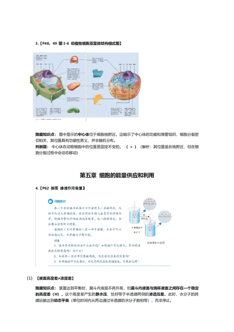 《2026届高三生物三轮复习人教版高中生物必修一教材插图体现的隐藏知识点_高考一二三轮复习_生物_2027年高考生物专项_12027届高考生物三轮冲刺知识清单（新疆适用）》第2页预览