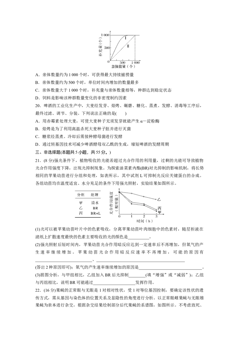 《山东省2022年普通高中学业水平等级考试（精校版）_2026版高中《二三轮复习+冲刺复习》_2021-2025生物高考题_2022生物高考题_学生》第6页预览