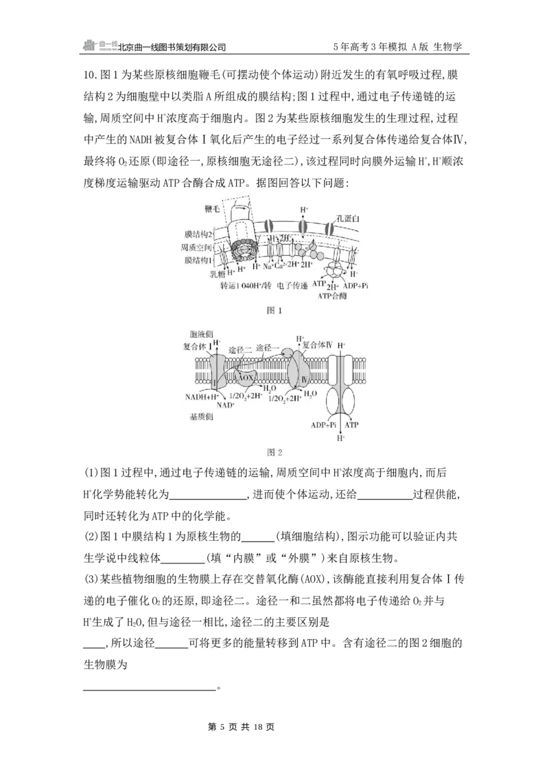 《1_专题过关检测练Word-第4章　细胞的能量供应和利用_2026版教学资源包_202653高考总复习A版_江苏版_2026版.江苏版.选考总复习.生物.5·3A版_第1部分分子与细胞_第4章细胞的能量供应和利用》第5页预览