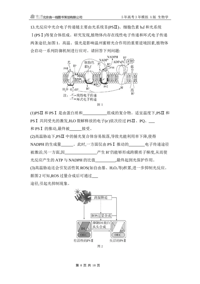 《1_专题过关检测练Word-第4章　细胞的能量供应和利用_2026版教学资源包_202653高考总复习A版_江苏版_2026版.江苏版.选考总复习.生物.5·3A版_第1部分分子与细胞_第4章细胞的能量供应和利用》第8页预览
