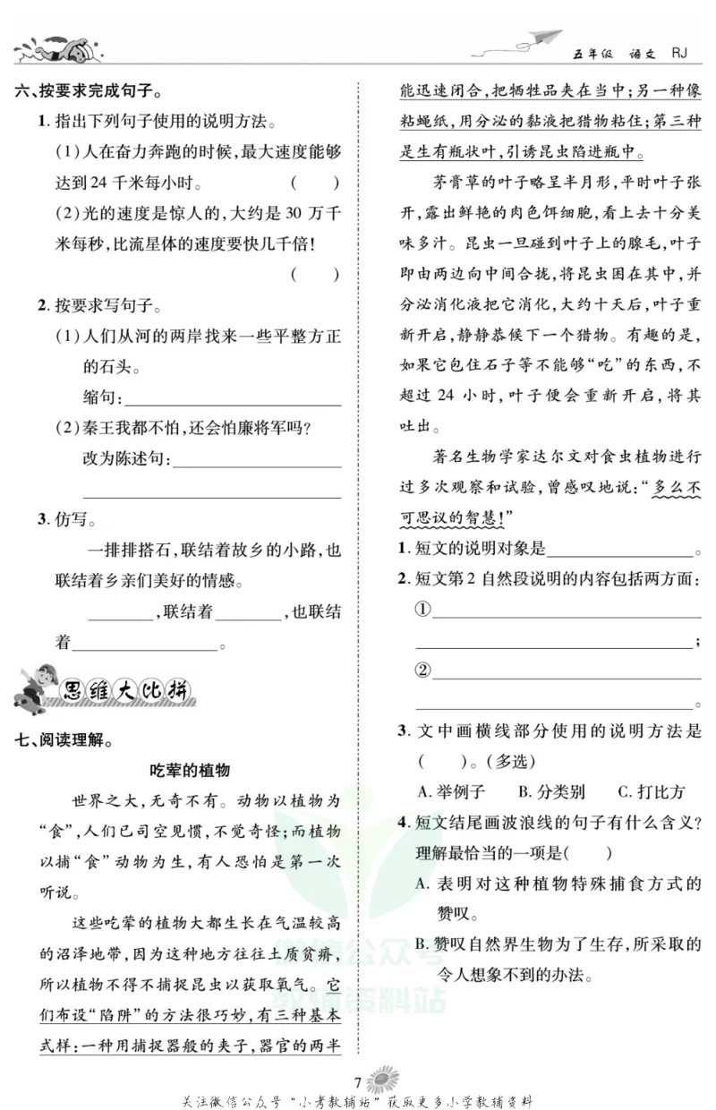 《假期特训·学期总复习五年级寒假语文部编版_07.小学语文、英语、数学专区_小学寒假教辅汇总_1~8年级假期特训·学期总复习_5年级》第10页预览