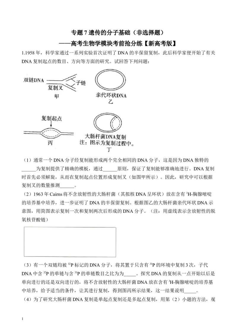 《专题7遗传的分子基础（非选择题）——高考生物学模块分练新高考版（含解析）_2026版高中《二三轮复习+冲刺复习》》第1页预览