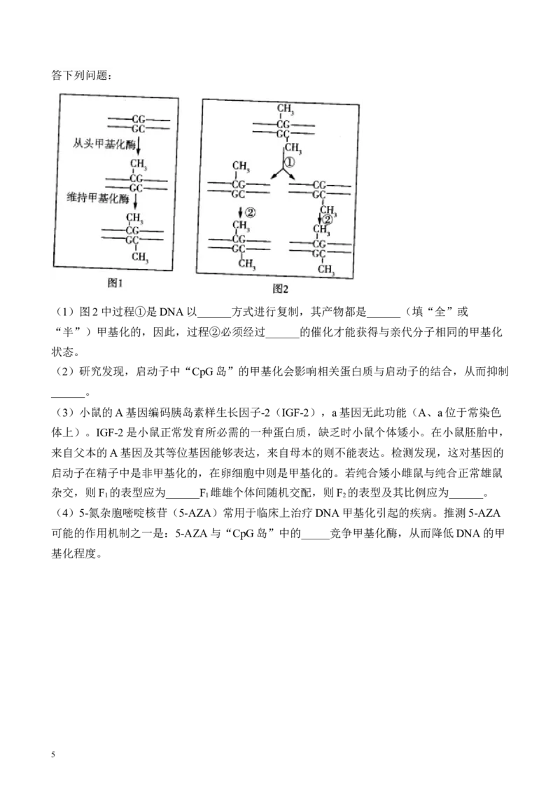 《专题7遗传的分子基础（非选择题）——高考生物学模块分练新高考版（含解析）_2026版高中《二三轮复习+冲刺复习》》第5页预览