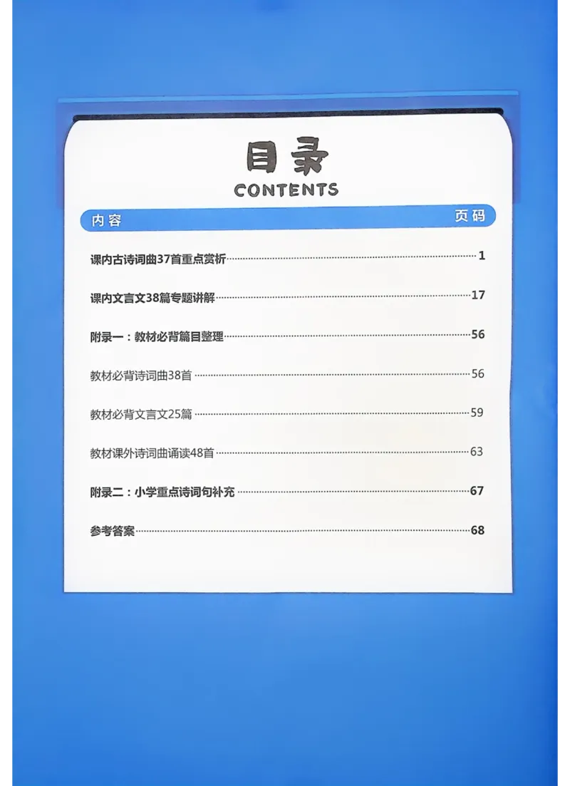 《古诗文一本通_2026秋初中教辅合集_2027《一飞冲天•中考专项精品试题分类》（中考）（7科全）_2027《一飞冲天•中考专项精品试题分类》（中考）（语文）》第2页预览