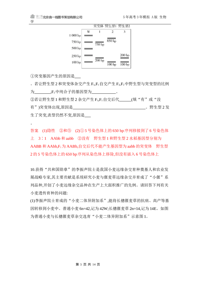 《1_专题过关检测练Word-第10章　基因突变及其他变异_2026版教学资源包_202653高考总复习A版_江苏版_2026版.江苏版.选考总复习.生物.5·3A版_第2部分遗传与进化_第10章基因突变及其他变异》第5页预览
